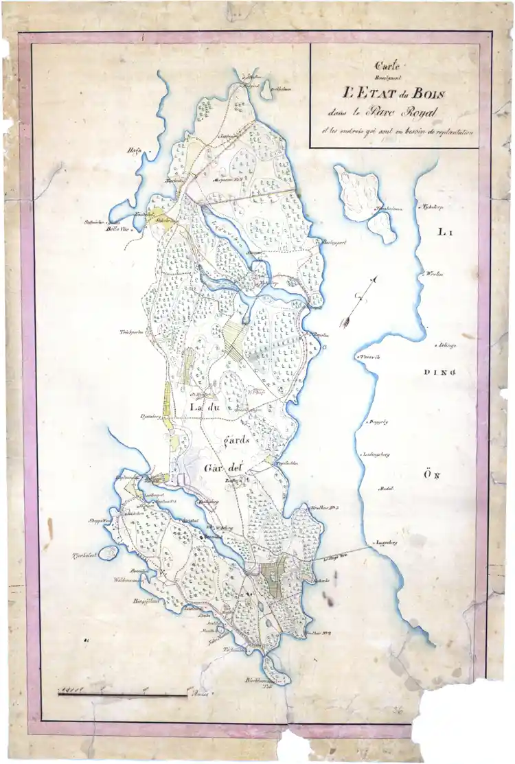 Carte enseignent L´Etat du Bois dans le Parc Royal et les endrois qui sont en besoin de replantation