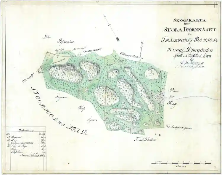 Skogskarta över Stora Björnnäset på Träskports revir å Kungliga Djurgården