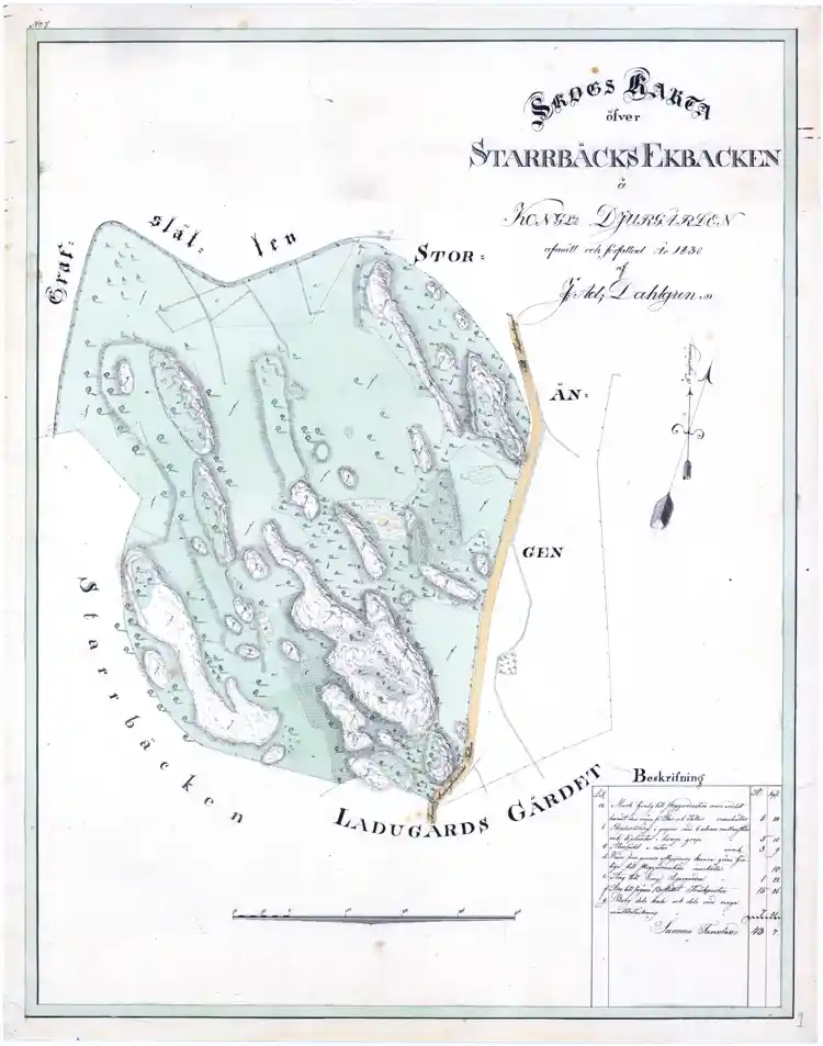 Skogskarta över Starrbäcks Ekbacken å Kungliga Djurgården
