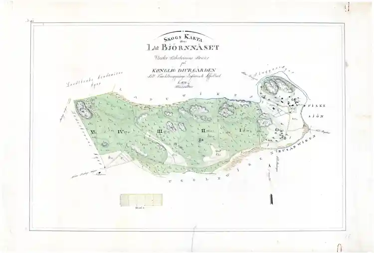 Skogskarta över Lilla Björnnäset under Söderbrunns revir på Kungliga Djurgården