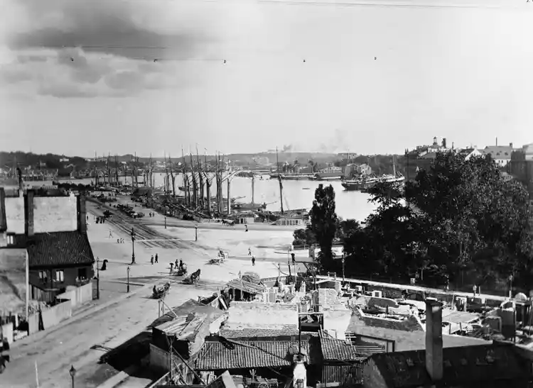 Utsikt från Smålandsgatan 8, mot sydost. Till höger Berzelii park.