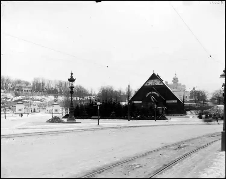 Biologiska museet vintertid från NV.