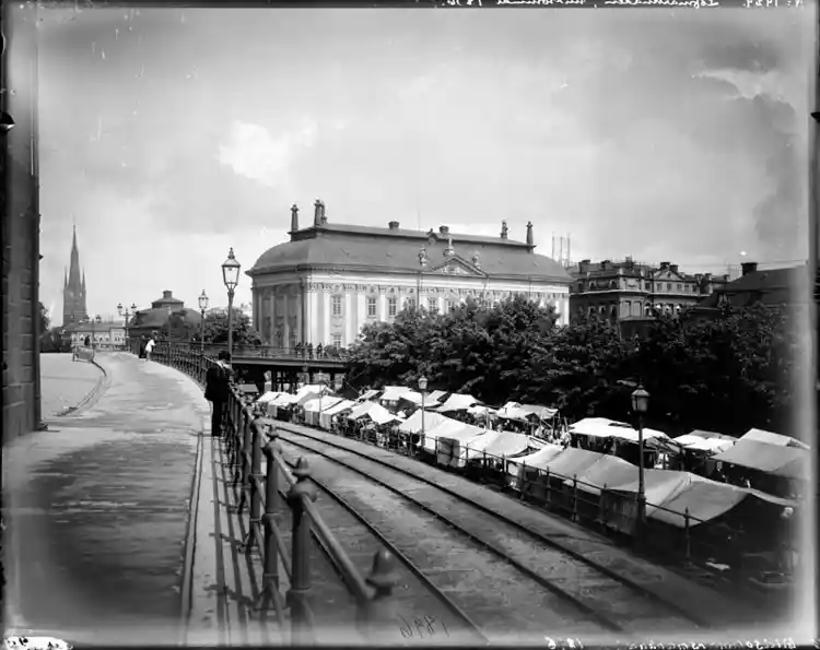 Lövmarknaden midsommartid vid Riddarholmskanalen. I bakgrunden Riddarhuset