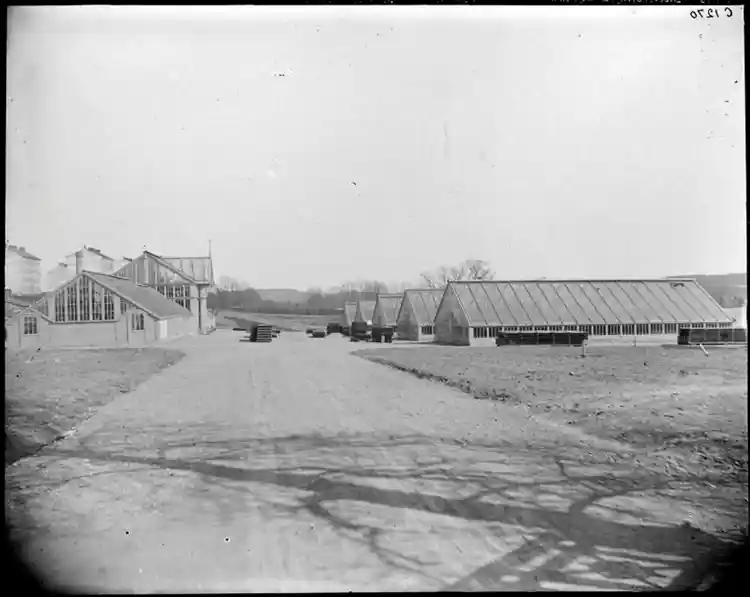 Stadens trädgård vid Götgatan österut
