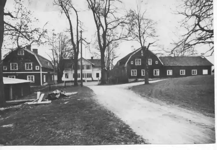 Gribbylunds gård 1950